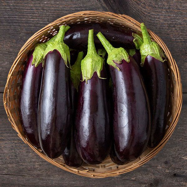 Aubergine